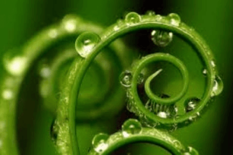 What is your development cycle for Revit upgrades