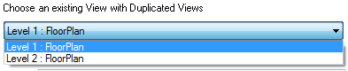38 View Duplication